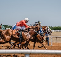 Horse racing news